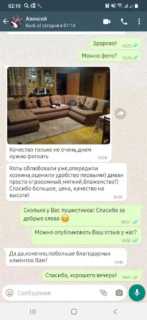 Скриншот реального отзыва RU-divan.RU №8